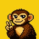 MonkeyC-693